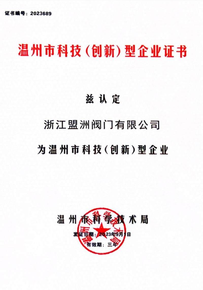 Wenzhou Science and Technology (Innovation) Enterprise Certificate