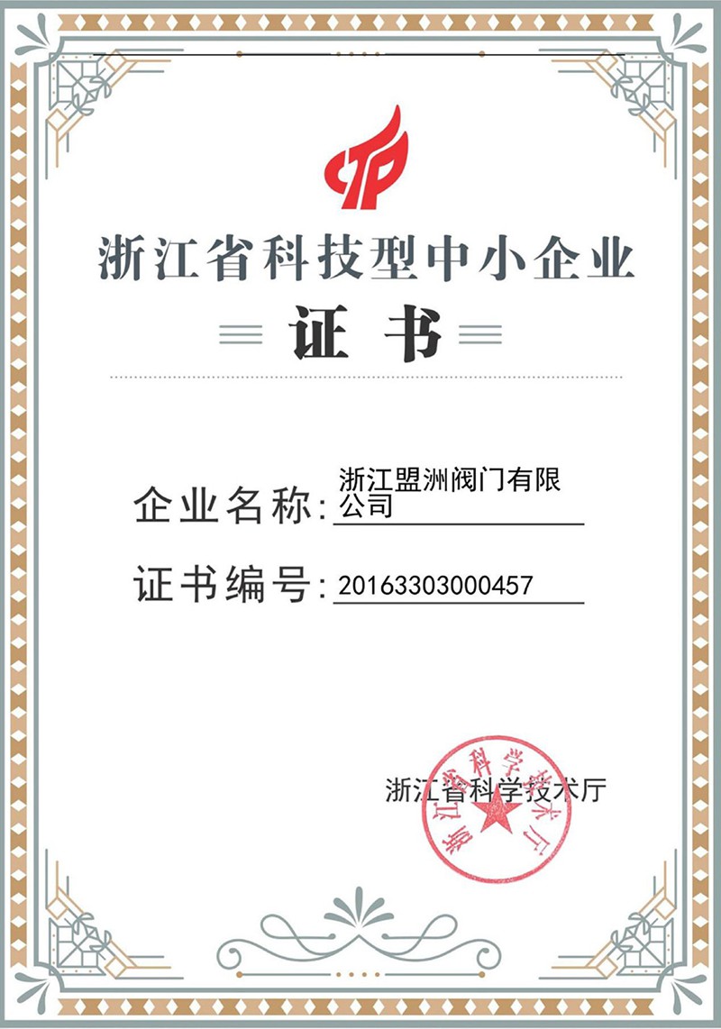 Zhejiang Province Science and Technology Small and Medium sized Enterprise Certificate